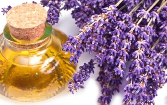 Olio di lavanda