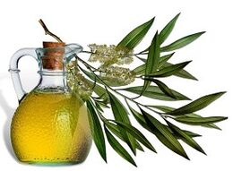Trattamento dell'olio in legno di tè