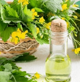 Celandine nella lotta contro il fungo